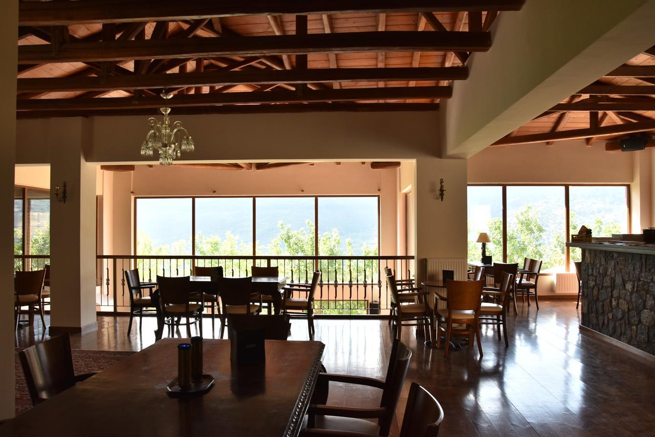 Olvios Hotel Gkoura Extérieur photo
